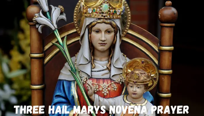 Three Hail Marys Novena Prayer